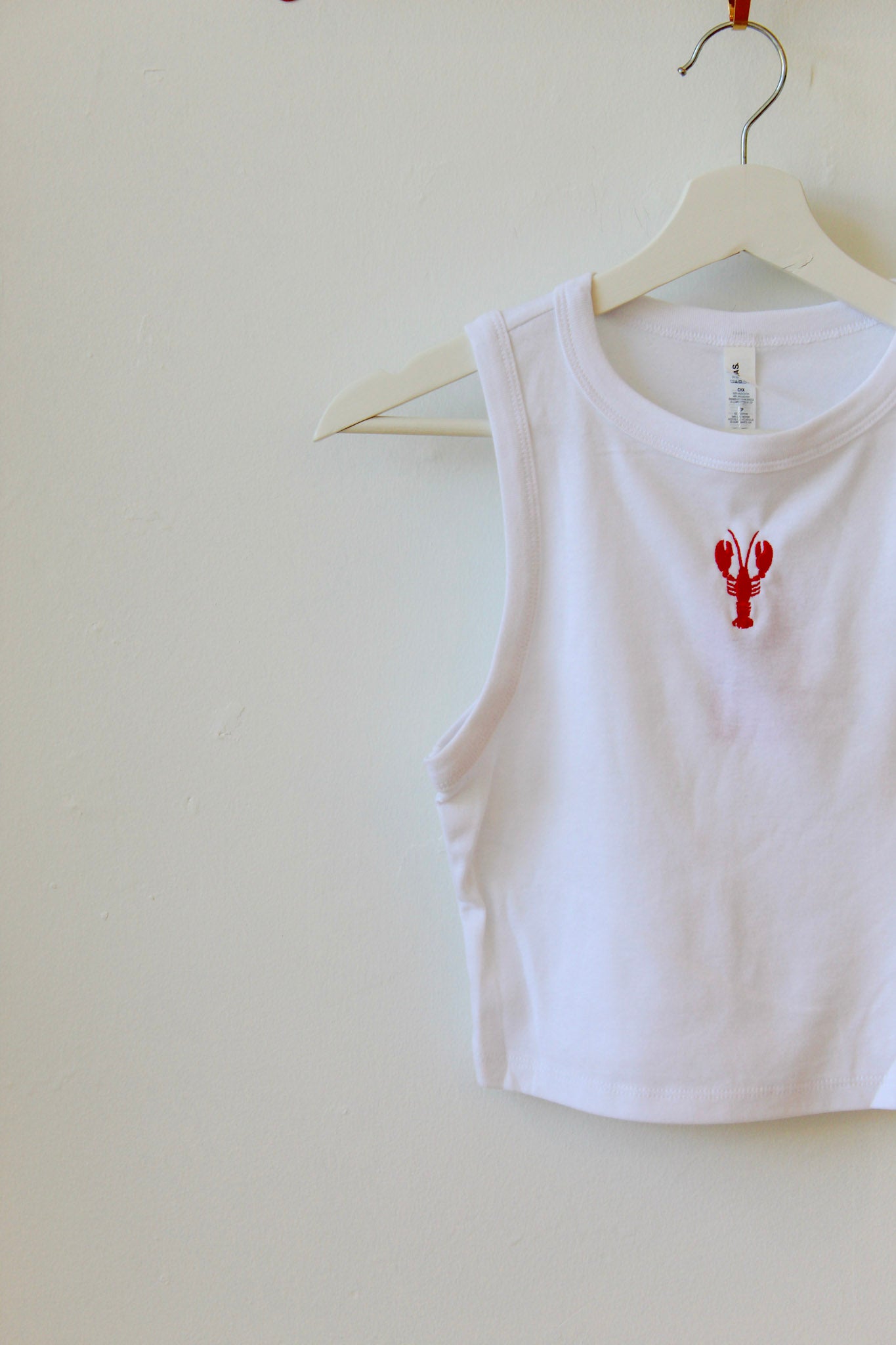 Lobster Baby Tank
