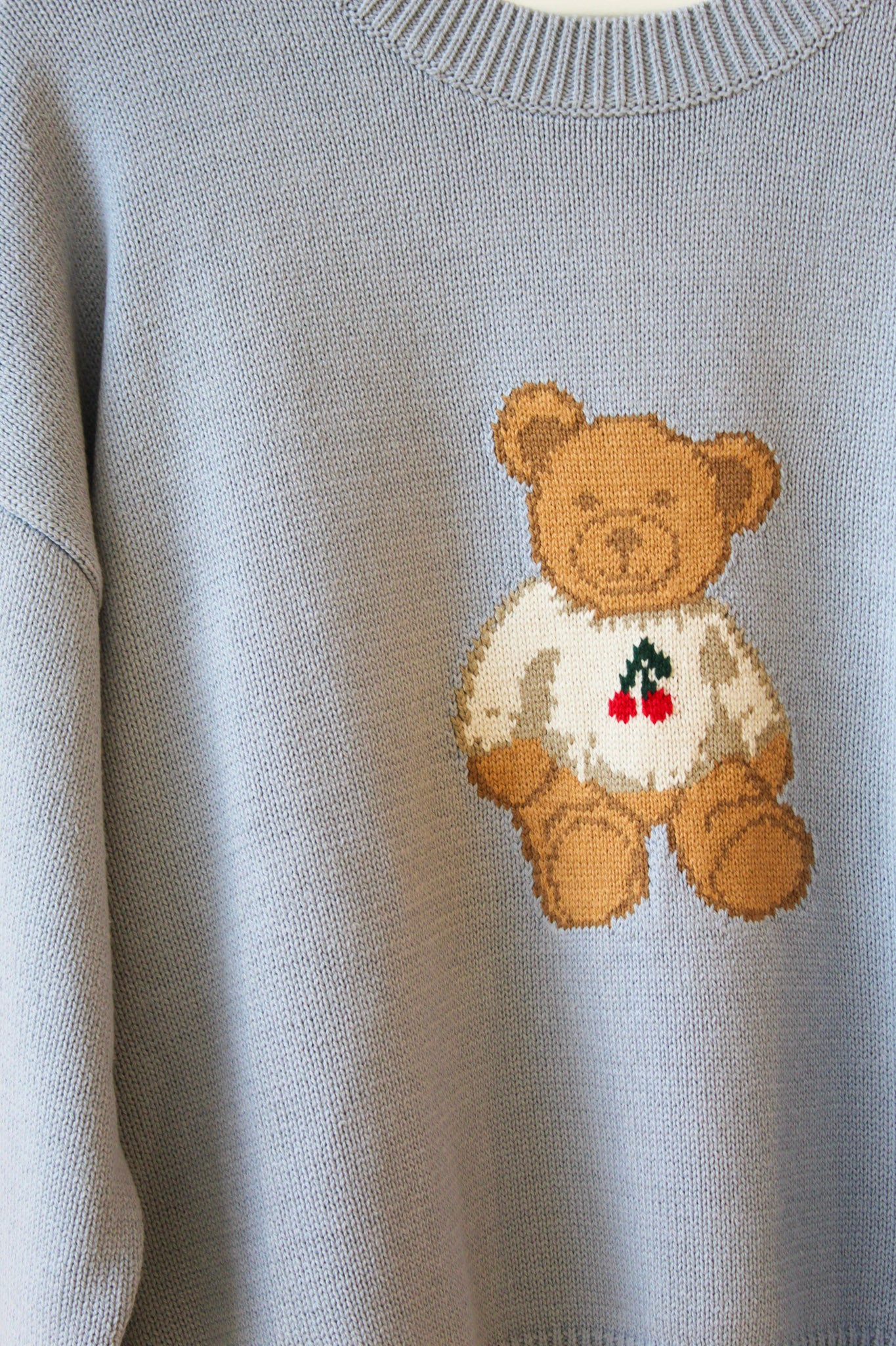 Blue Teddy Bear Sweater